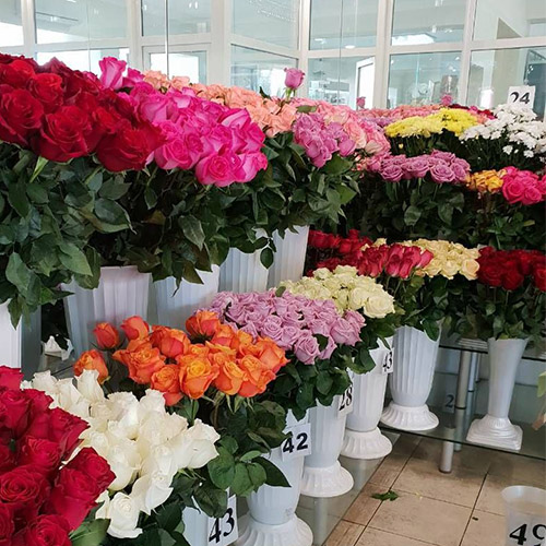 фото вітрини квіткового магазину у Житомирі